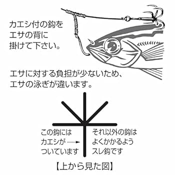 Amazon | カツイチ(Katsuichi) IKAクラ IS-52 イカつ~る No.2